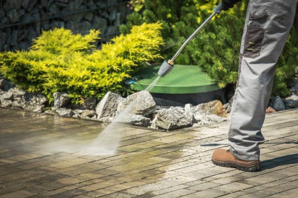 Best Sidewalk and Walkway Cleaning  in San Martin, CA