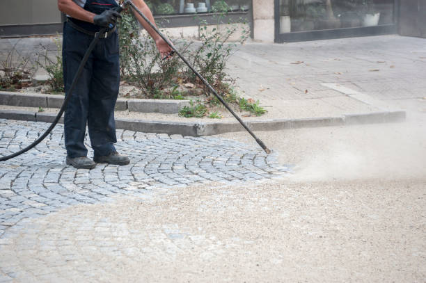 Best Driveway Pressure Washing  in San Martin, CA